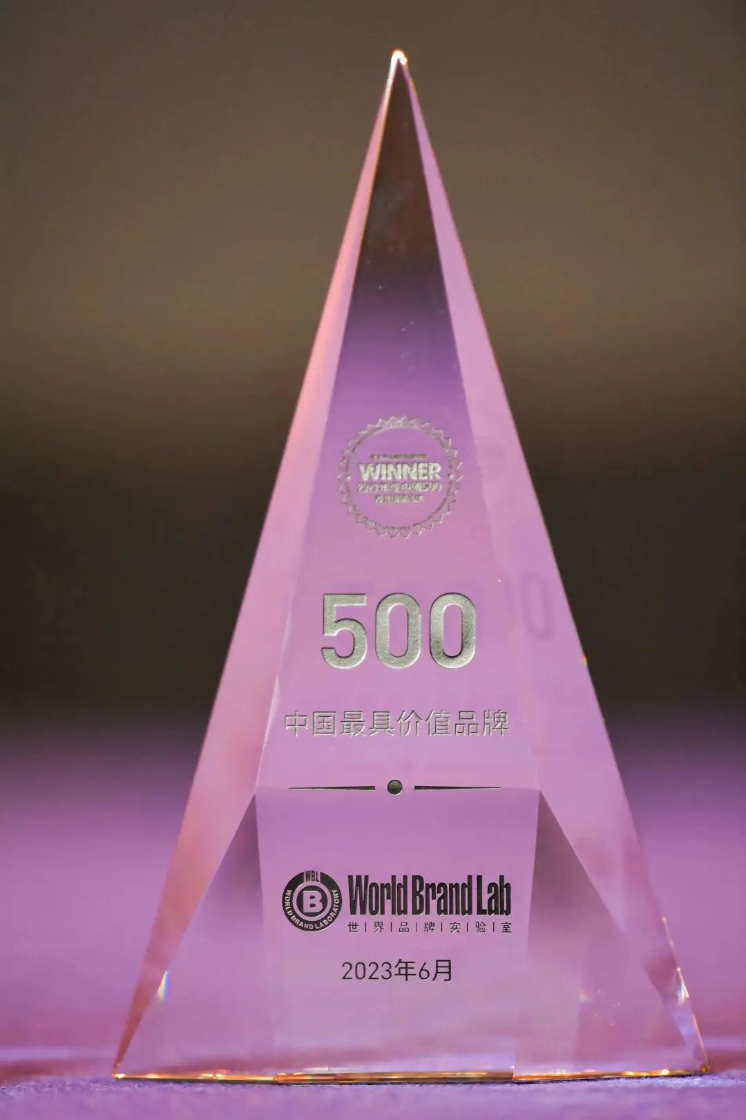 权威认证 mg冰球突破入选中国500最具价值品牌