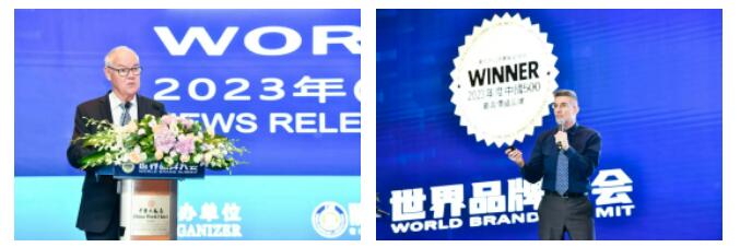 权威认证 mg冰球突破入选中国500最具价值品牌