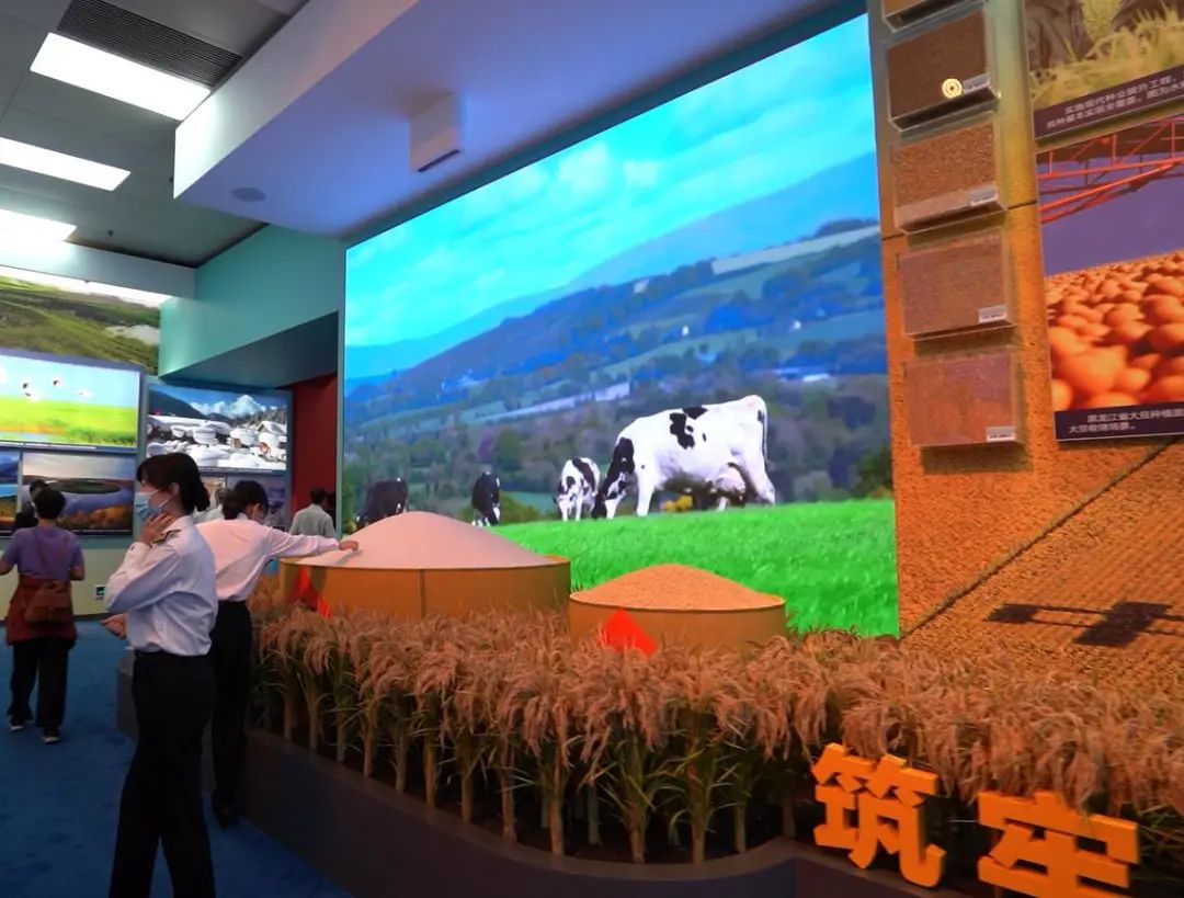 mg冰球突破·奢华版(试玩)官方网站