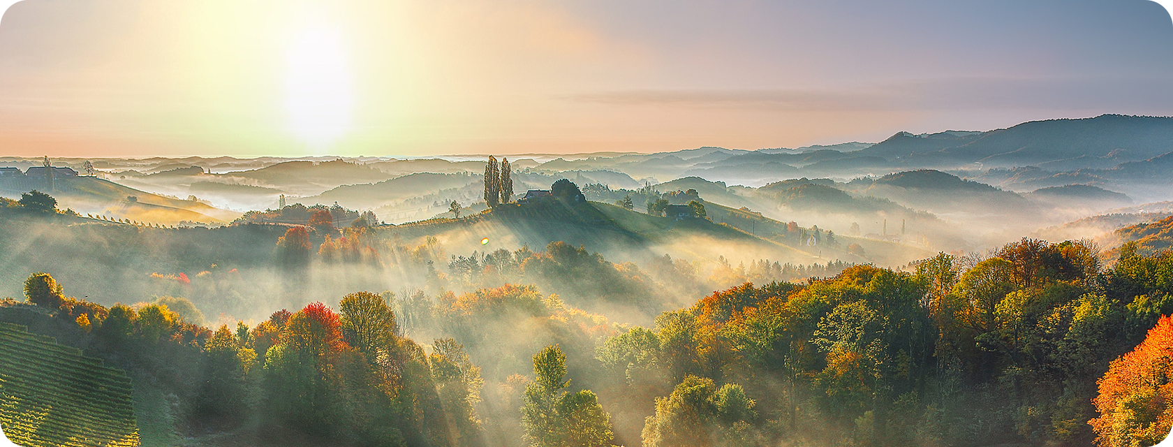 可持续发展战术