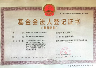 mg冰球突破·奢华版(试玩)官方网站